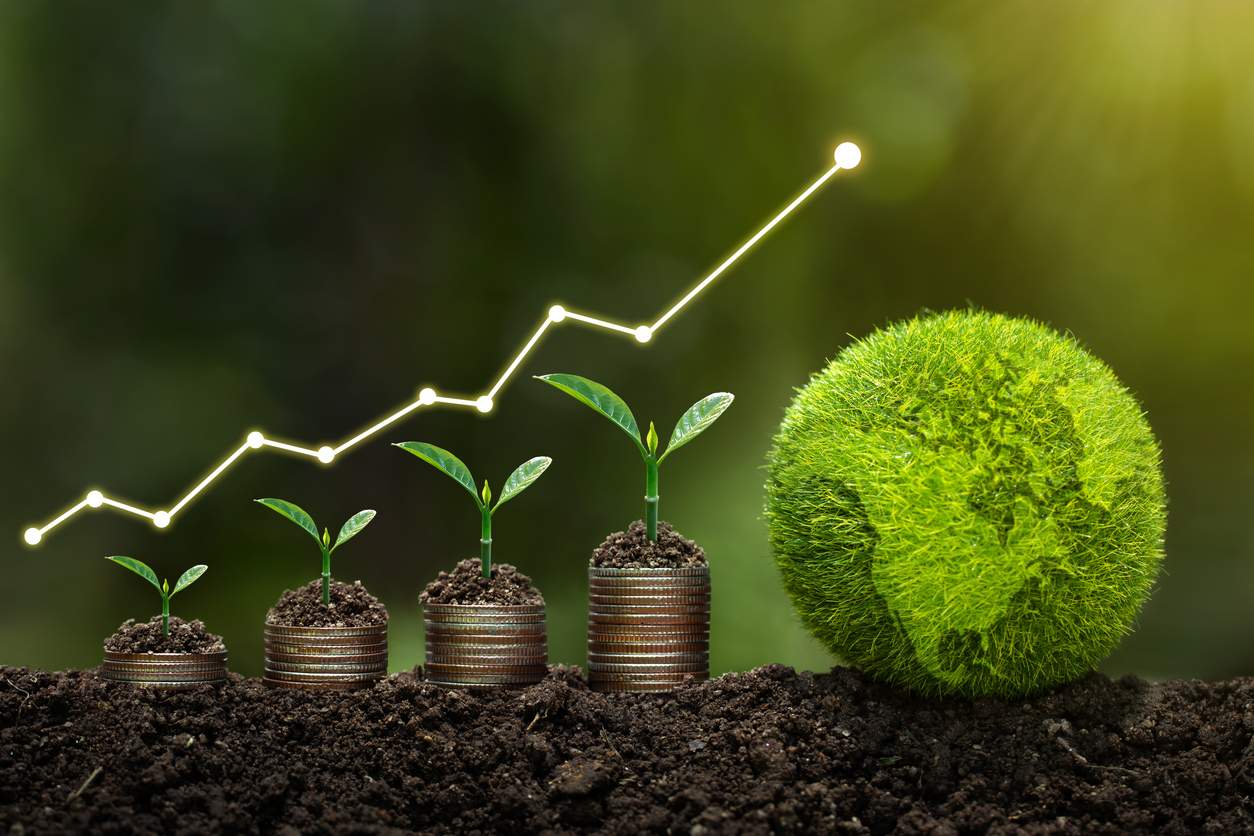 AGESI Seeks $1.4 Trillion Reinvestment in Africa’s Natural Capital