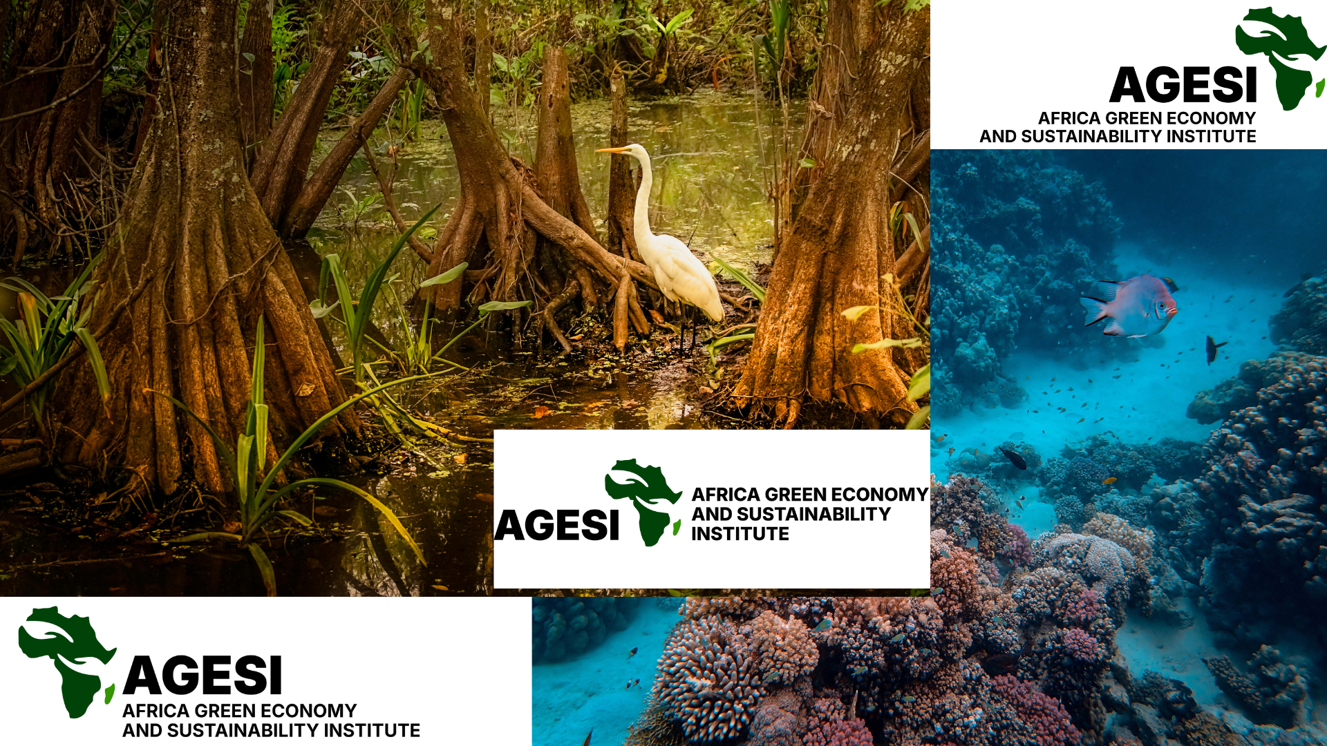 From Data to Dollars: Unlocking Nigeria’s Trillion-Dollar Natural Capital